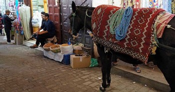 Opzij, opzij voor de ezeltjes in de medina van Fez Ezels in Fez