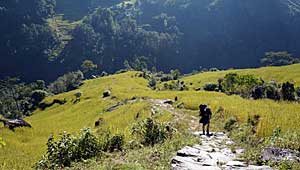 Kunjari Taplejung Kanchenjunga Trek Nepal