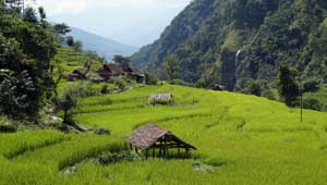 Tapljejung - Chirwa - Kanchenjunga - Nepal
