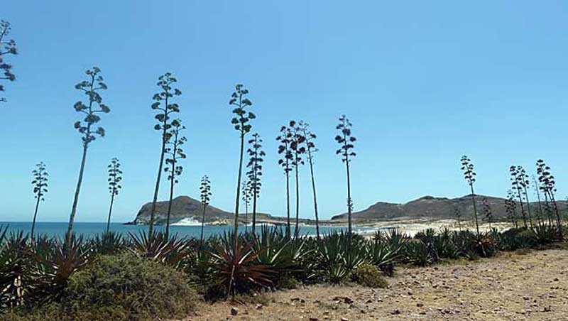 Playa de los Genoveses, een van de mooiste stranden van Zuid-Spanje