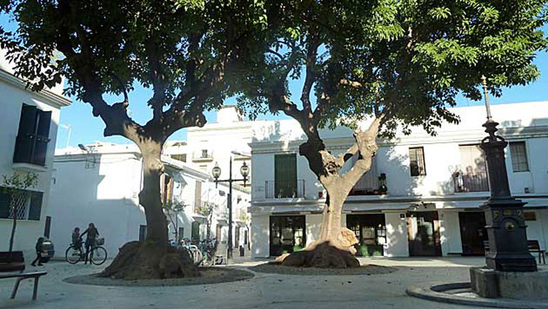 Plaça de Prim, sfeervol pleintje in Barcelona