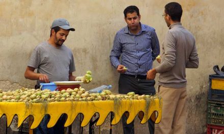 Populair en prikkerig cactusfruit in medina Fès el-Bali