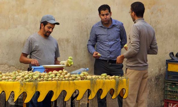 Populair en prikkerig cactusfruit in medina Fès el-Bali