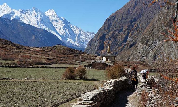 Trekking Manaslu Circuit en Tsum Valley in Nepal