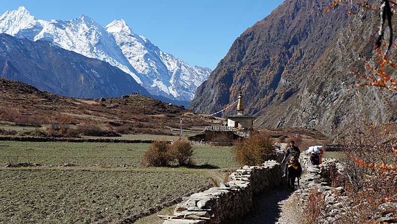 Trekking Manaslu Circuit en Tsum Valley in Nepal