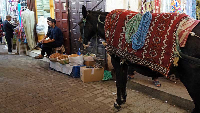 Opzij, opzij voor de ezeltjes in de medina van Fez