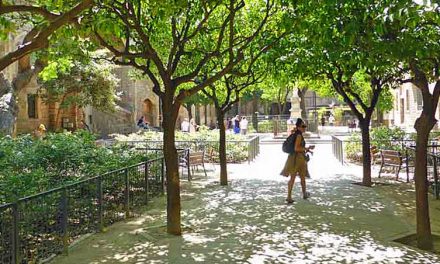 Geurige binnenplaats Antic Hospital de la Santa Creu in Barcelona