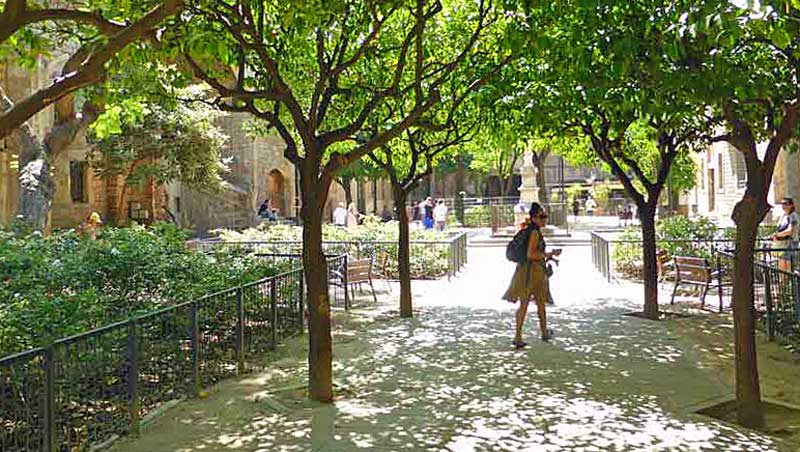 Geurige binnenplaats Antic Hospital de la Santa Creu in Barcelona